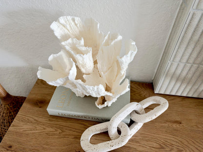 Natural Poca Coral Fossil: 10" x 9.5" x 8.5" Coastal Beach House White Décor