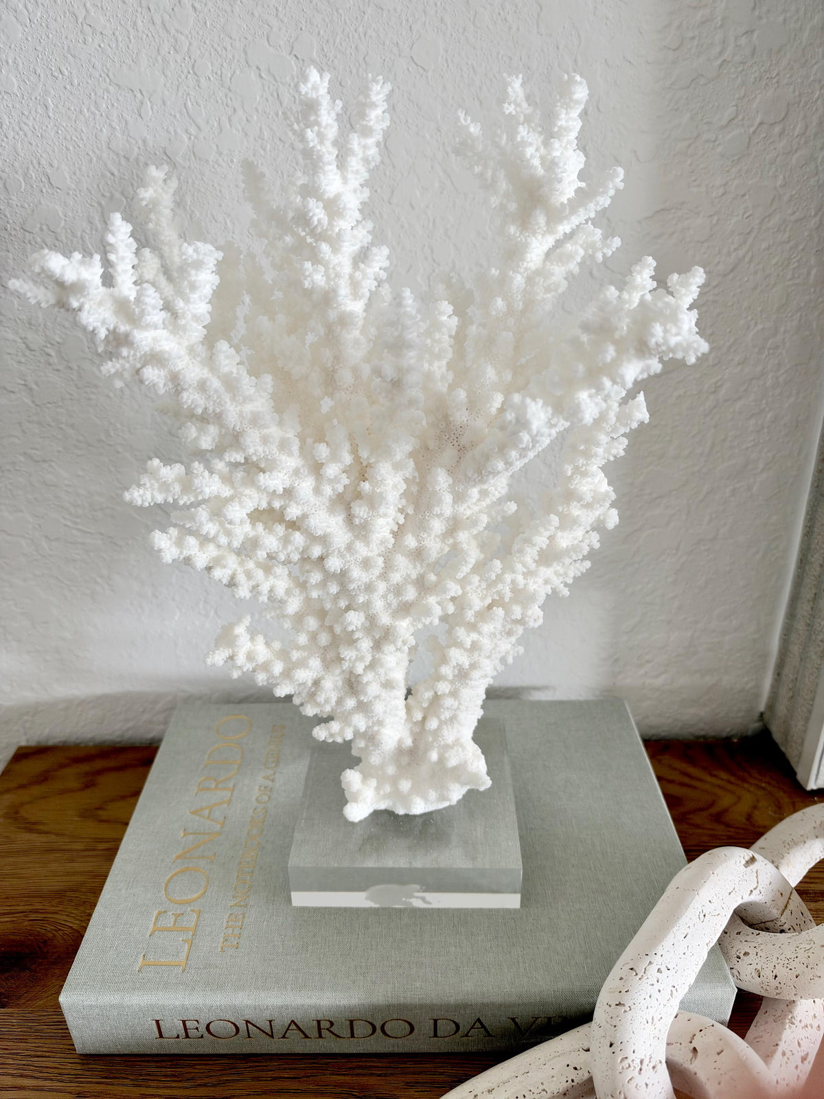 Real Branch Coral Fossil Specimen: 13.25" x 9" x 4" Coastal Décor (Lucite Mount)