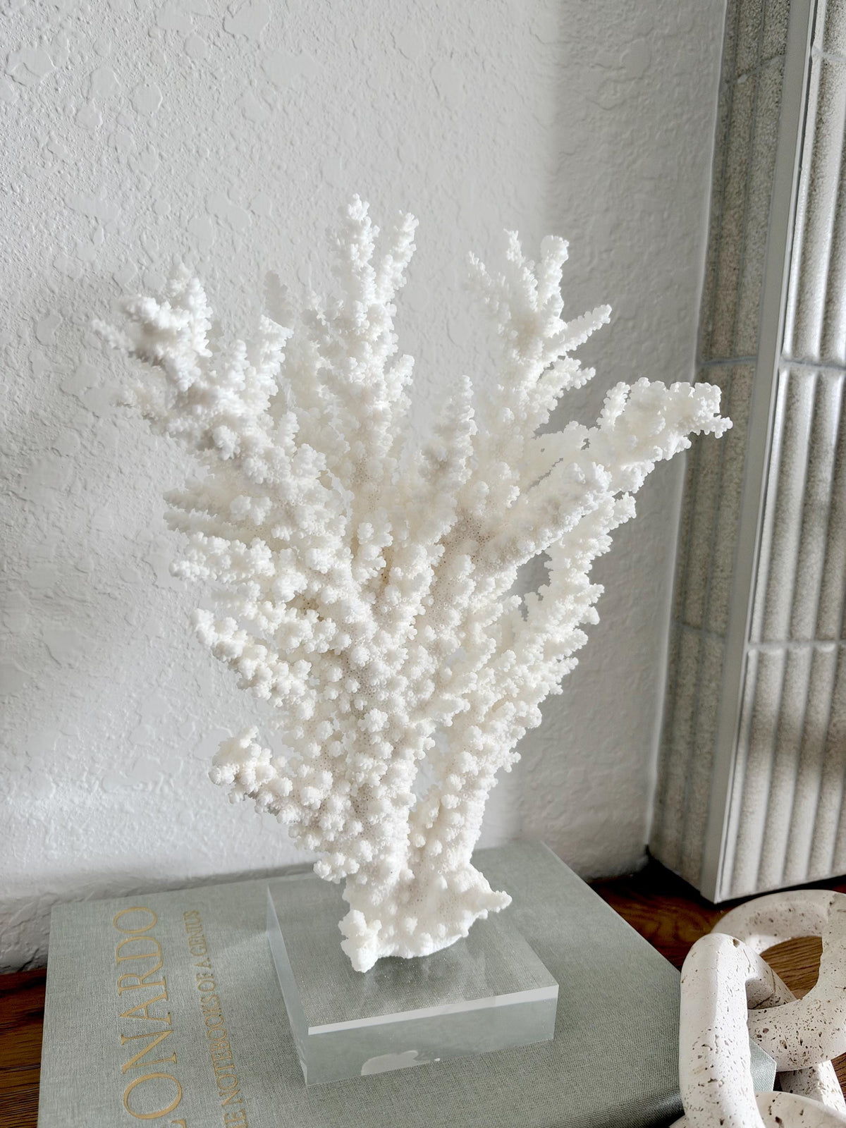 Real Branch Coral Fossil Specimen: 13.25" x 9" x 4" Coastal Décor (Lucite Mount)