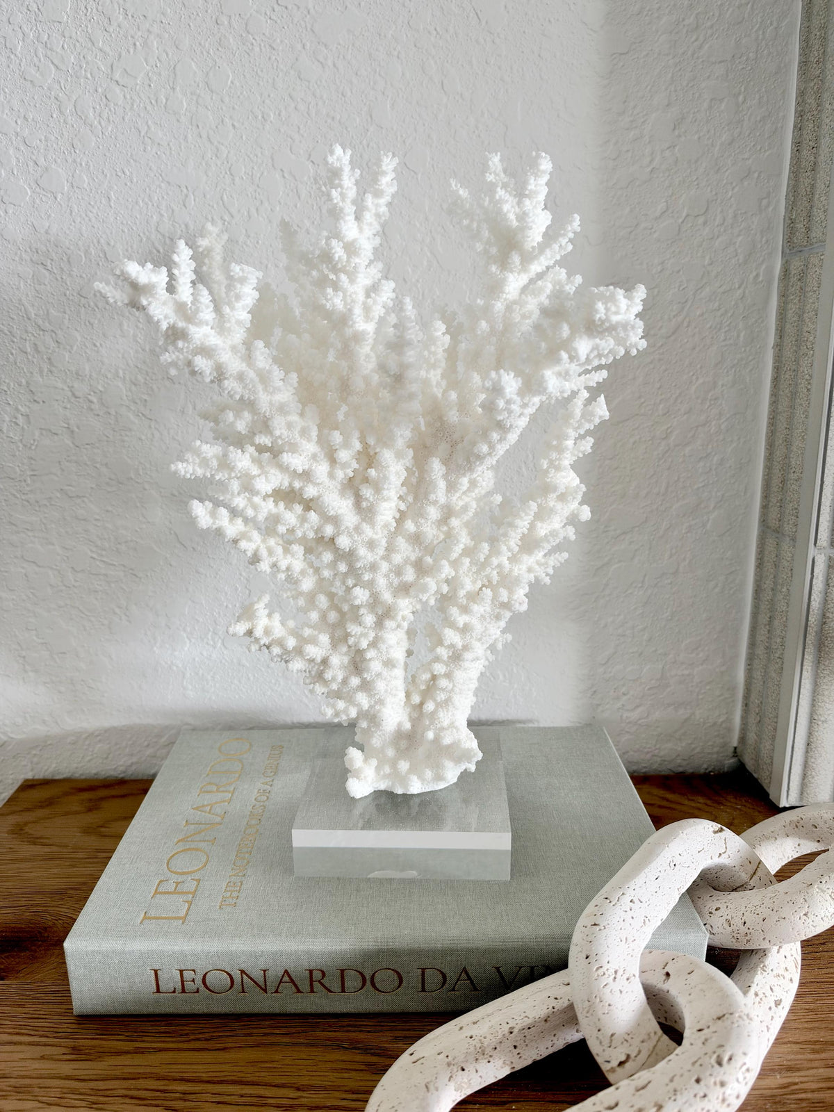 Real Branch Coral Fossil Specimen: 13.25" x 9" x 4" Coastal Décor (Lucite Mount)