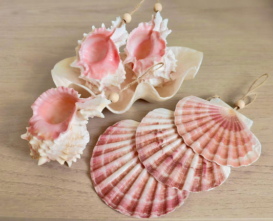 Handmade Pink Mermaid Murex & Scallop Seashell Ornaments: Set of 6, Natural Shells Christmas Tree Decoration