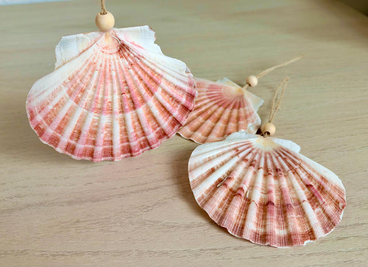 Handmade Pink Mermaids Scallop Seashell Ornaments: Set of 3, Natural Shells Christmas Tree Decoration