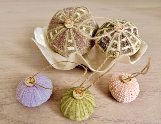 Handmade Mixed Color Sea Urchin Ornaments: Set of 5, Natural Seashell Christmas Tree Decoration