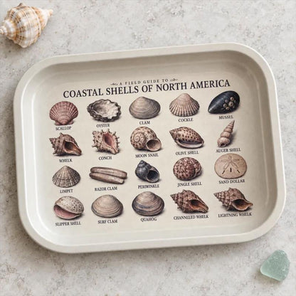 Seashell Specimen Decorative Tray: Coastal Décor Gift
