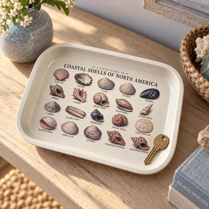 Seashell Specimen Decorative Tray: Coastal Décor Gift