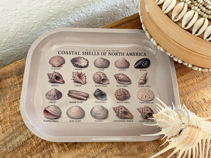 Seashell Specimen Decorative Tray: Coastal Décor Gift