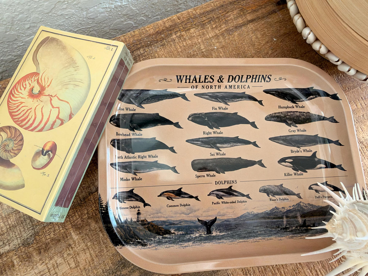 Whales & Dolphins Specimen Decorative Tray: Coastal Décor Gift