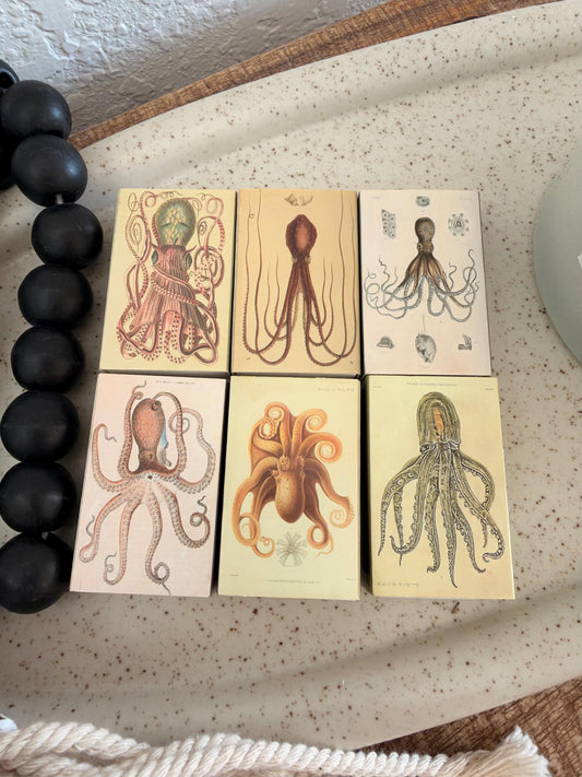 Vintage Octopus Decorative Matchboxes – Set of 6 – Coastal Home Décor & Nautical Gift