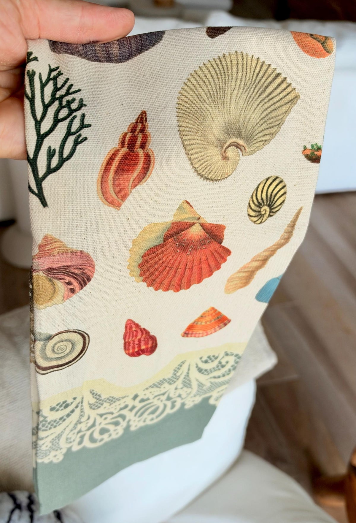 Vintage Seashell Specimens of the Sea, Organic Cotton Tea Towel Coastal Kitchen Décor