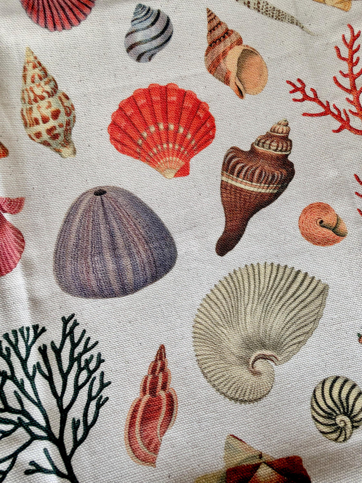 Vintage Seashell Specimens of the Sea, Organic Cotton Tea Towel Coastal Kitchen Décor
