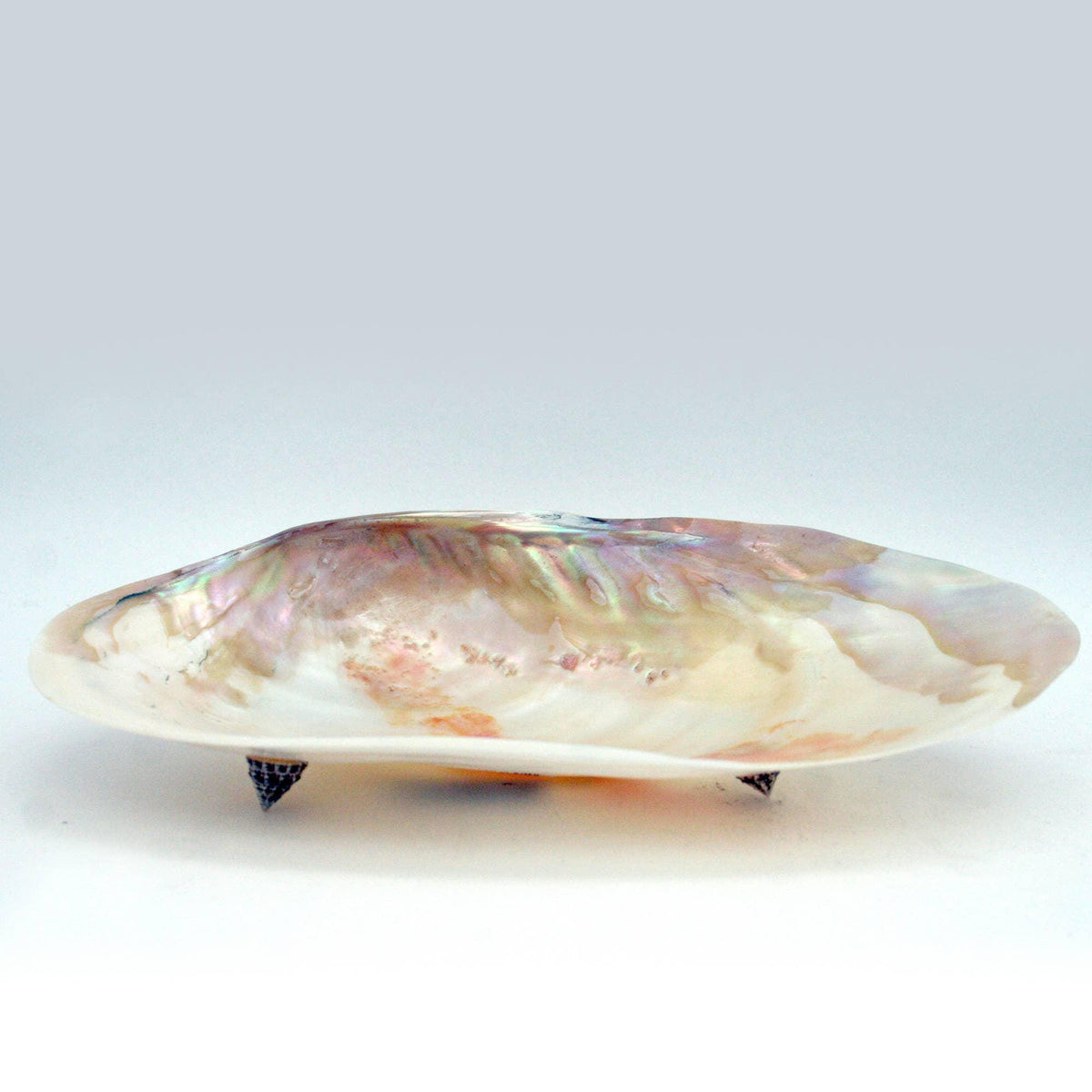Handcrafted Mother of Pearl Clam Dish & Cowrie Shell Spoon Set, Coastal Décor Gift