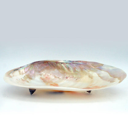 Handcrafted Mother of Pearl Clam Dish & Cowrie Shell Spoon Set, Coastal Décor Gift