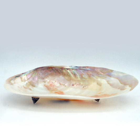 Handcrafted Mother of Pearl Clam Dish & Cowrie Shell Spoon Set, Coastal Décor Gift