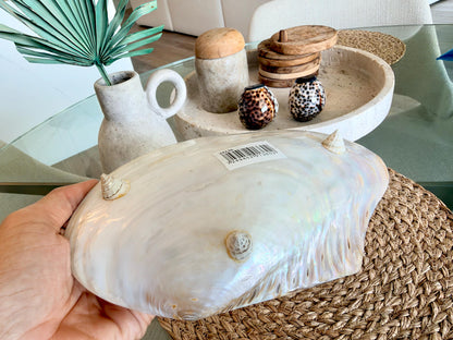Handcrafted Mother of Pearl Clam Dish & Cowrie Shell Spoon Set, Coastal Décor Gift