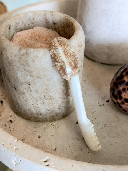 Handcrafted Mother of Pearl Clam Dish & Cowrie Shell Spoon Set, Coastal Décor Gift