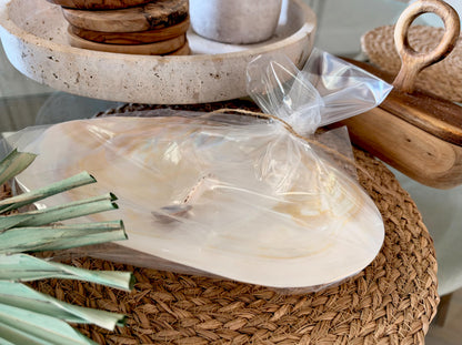 Handcrafted Mother of Pearl Clam Dish & Cowrie Shell Spoon Set, Coastal Décor Gift