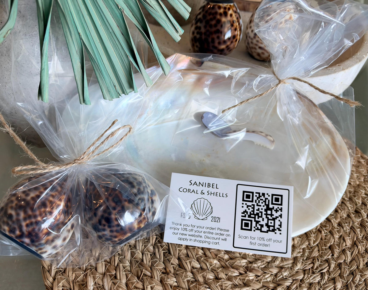 Handcrafted Mother of Pearl Clam Dish & Cowrie Shell Spoon Set, Coastal Décor Gift