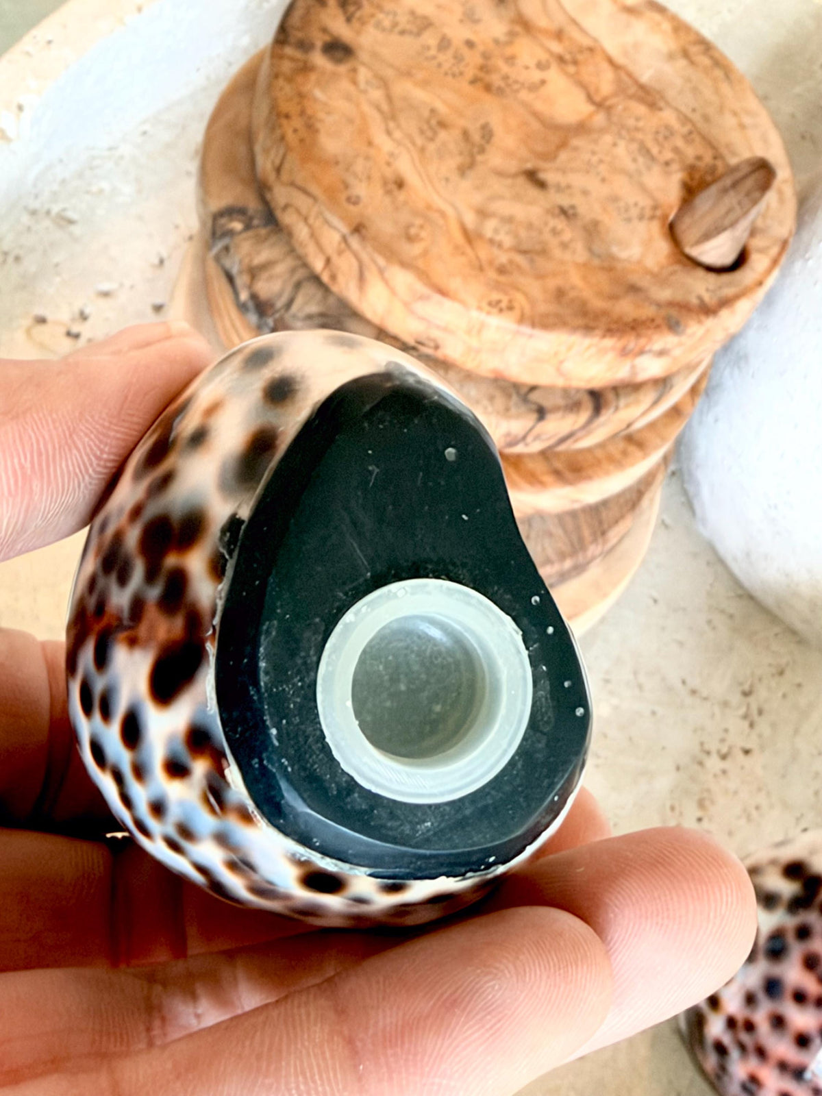 Handcrafted Cowrie Shell Salt And Pepper Shakers Set, Organic Modern Coastal Décor Gift
