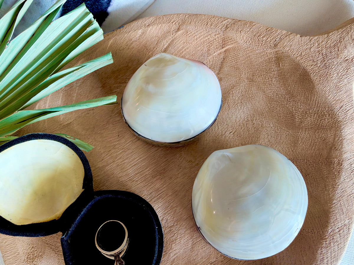 Natural Handmade Seashell Clam Ring Box: 3 Colors, 2.5" Shell Coastal Gift