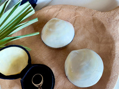 Natural Handmade Seashell Clam Ring Box: 3 Colors, 2.5" Shell Coastal Gift