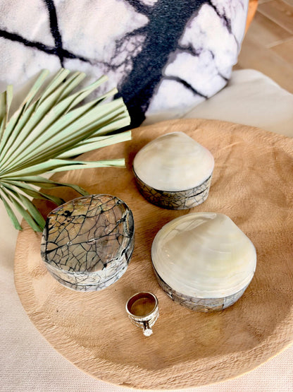 Natural Handmade Seashell Clam Ring Box: 3 Colors, 2.5" Shell Coastal Gift