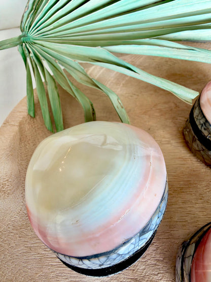 Natural Handmade Seashell Clam Ring Box: 3 Colors, 2.5" Shell Coastal Gift