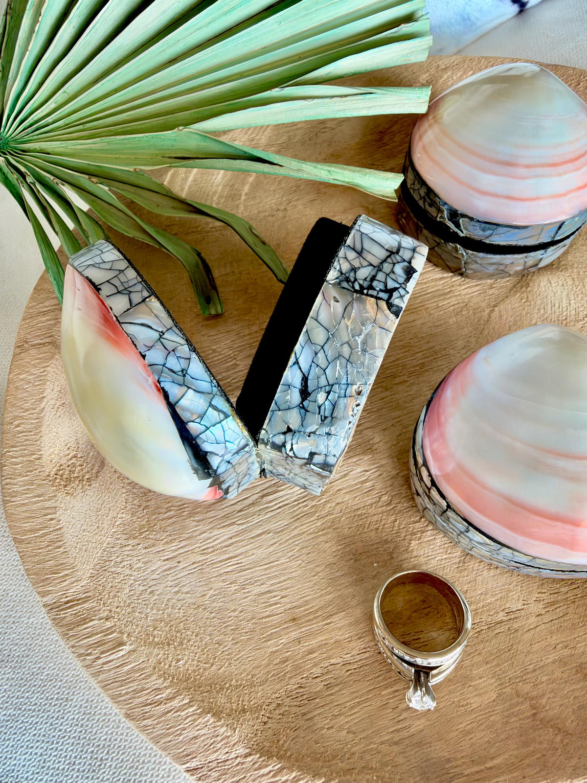 Natural Handmade Seashell Clam Ring Box: 3 Colors, 2.5" Shell Coastal Gift