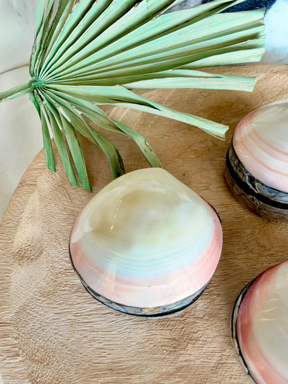 Natural Handmade Seashell Clam Ring Box: 3 Colors, 2.5" Shell Coastal Gift