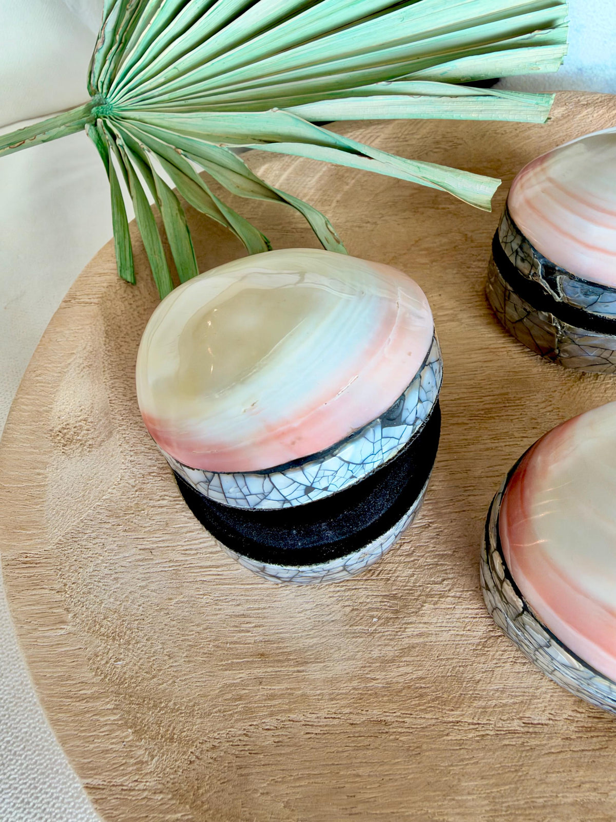 Natural Handmade Seashell Clam Ring Box: 3 Colors, 2.5" Shell Coastal Gift