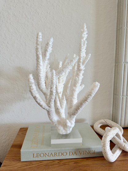 Real Branch Coral Fossil Specimen: 15.25" x 12" x 7.25" Coastal Décor (Lucite Mount)
