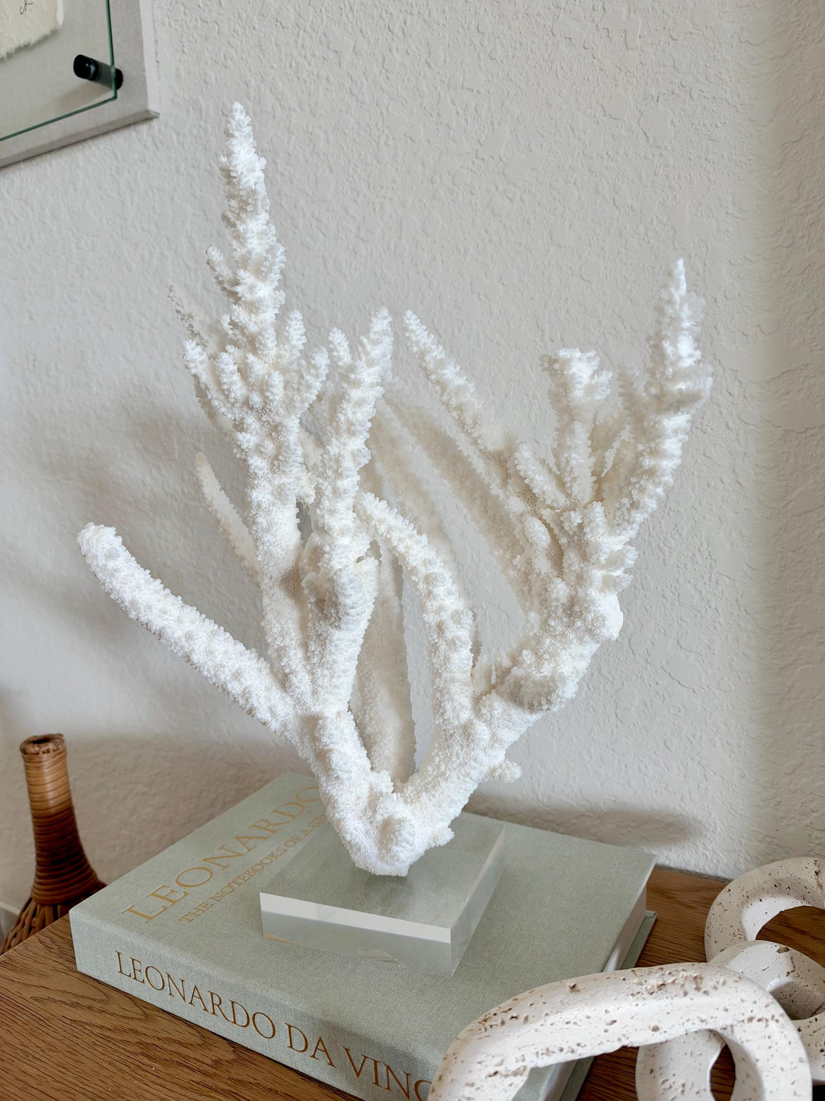 Real Branch Coral Fossil Specimen: 15.25" x 12" x 7.25" Coastal Décor (Lucite Mount)