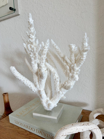 Real Branch Coral Fossil Specimen: 15.25" x 12" x 7.25" Coastal Décor (Lucite Mount)