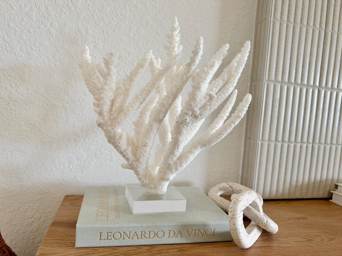 Real Branch Coral Fossil Specimen: 15.25" x 12" x 7.25" Coastal Décor (Lucite Mount)