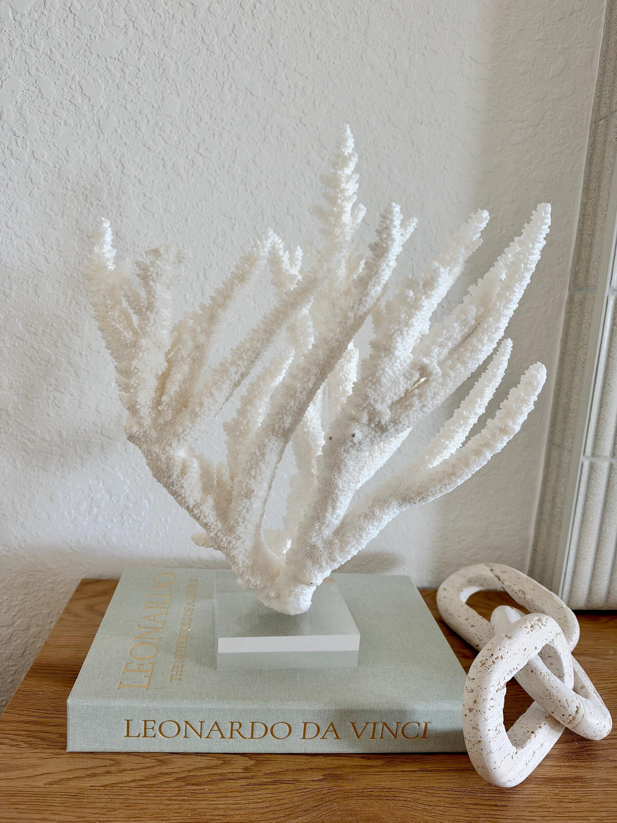 Real Branch Coral Fossil Specimen: 15.25" x 12" x 7.25" Coastal Décor (Lucite Mount)
