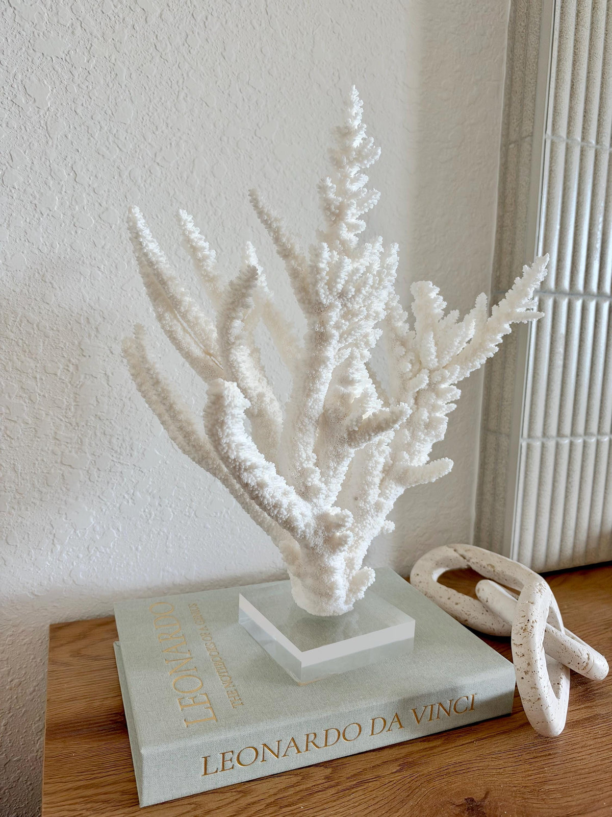 Real Branch Coral Fossil Specimen: 15.25" x 12" x 7.25" Coastal Décor (Lucite Mount)