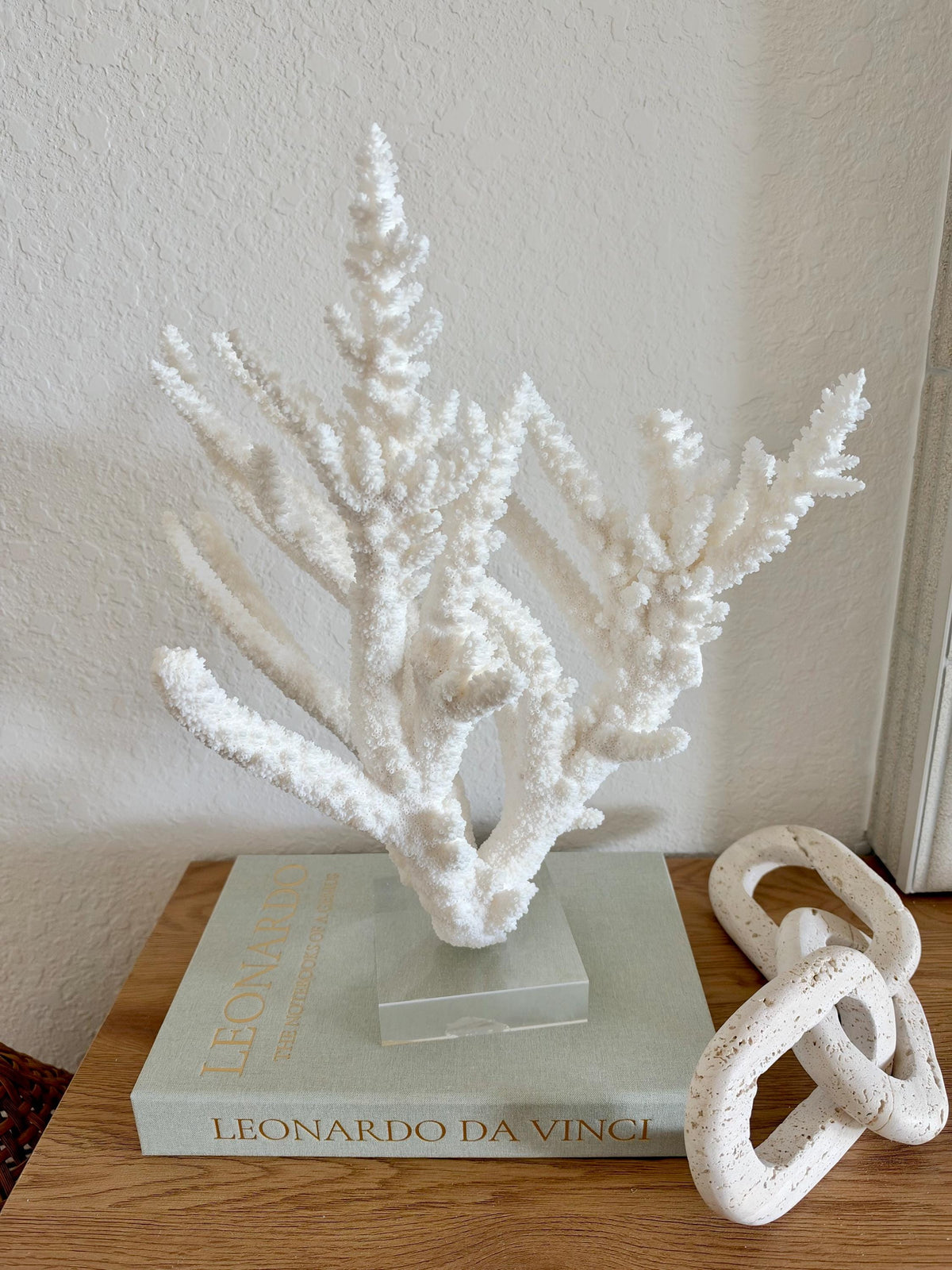 Real Branch Coral Fossil Specimen: 15.25" x 12" x 7.25" Coastal Décor (Lucite Mount)