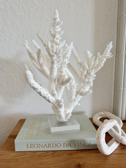 Real Branch Coral Fossil Specimen: 15.25" x 12" x 7.25" Coastal Décor (Lucite Mount)