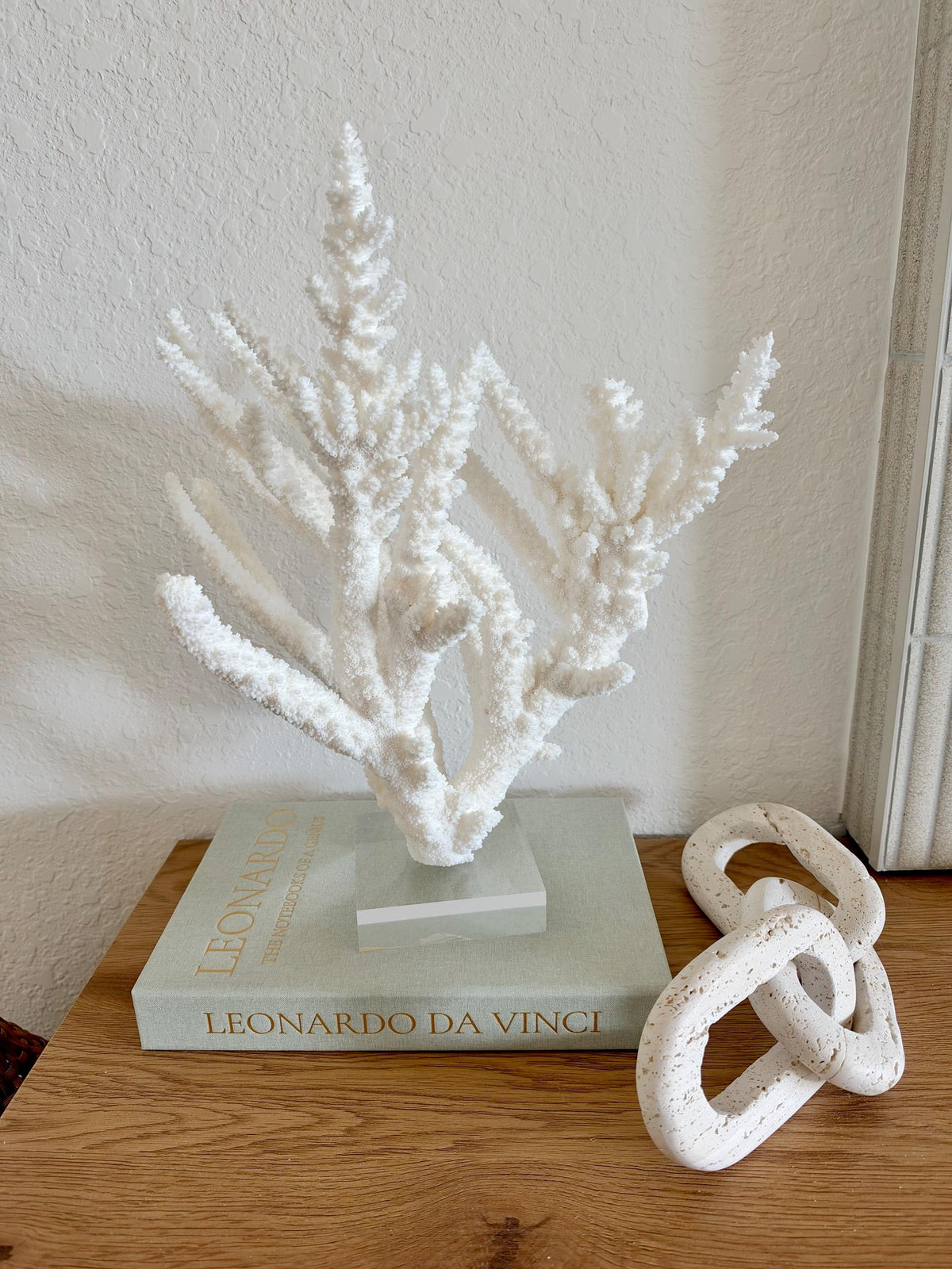 Real Branch Coral Fossil Specimen: 15.25" x 12" x 7.25" Coastal Décor (Lucite Mount)