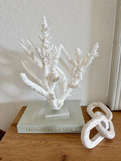 Real Branch Coral Fossil Specimen: 15.25" x 12" x 7.25" Coastal Décor (Lucite Mount)