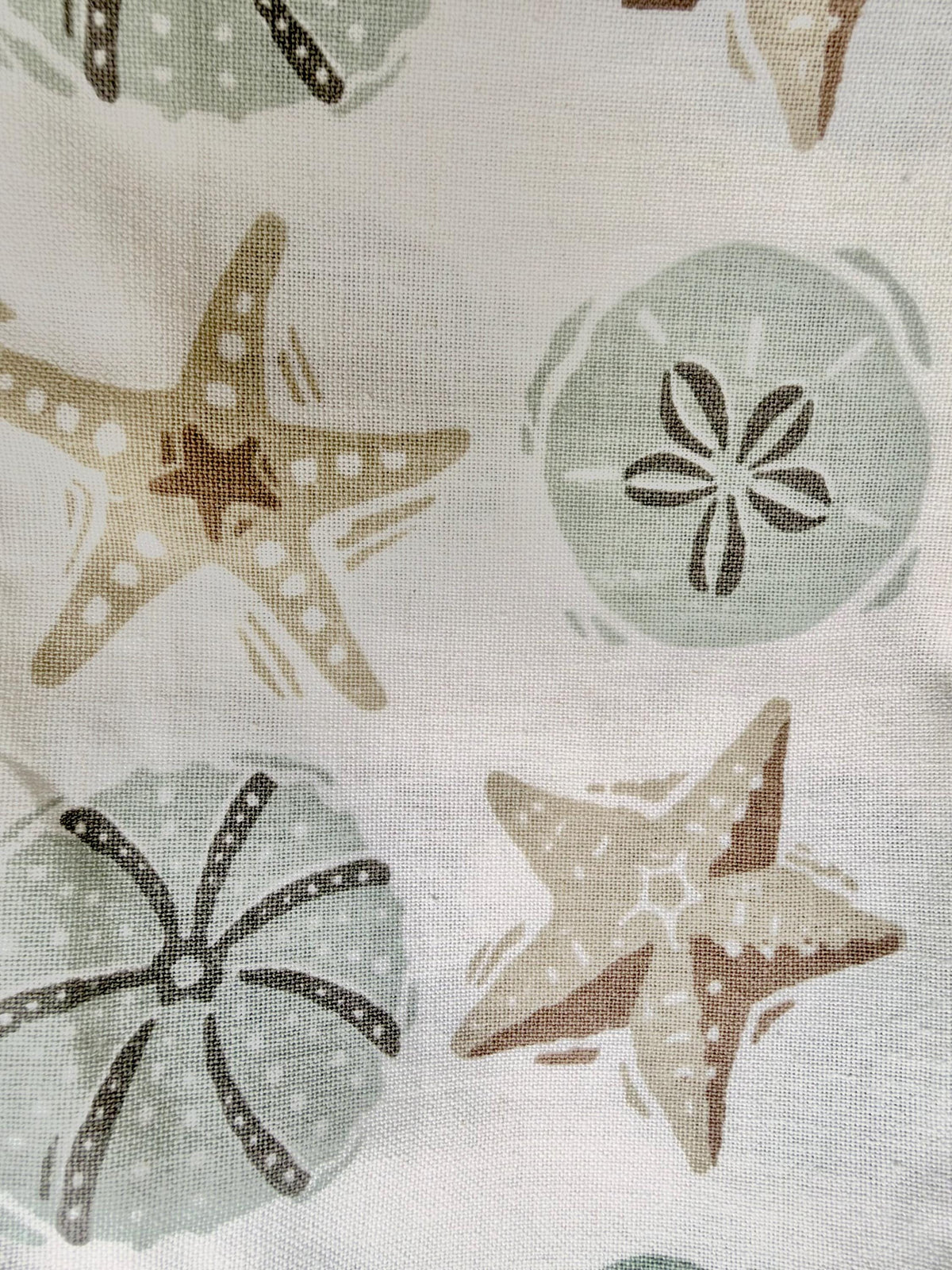 Sea Urchins & Star Fish 20"x26" Cotton Tea Towel Coastal Kitchen Décor Gift