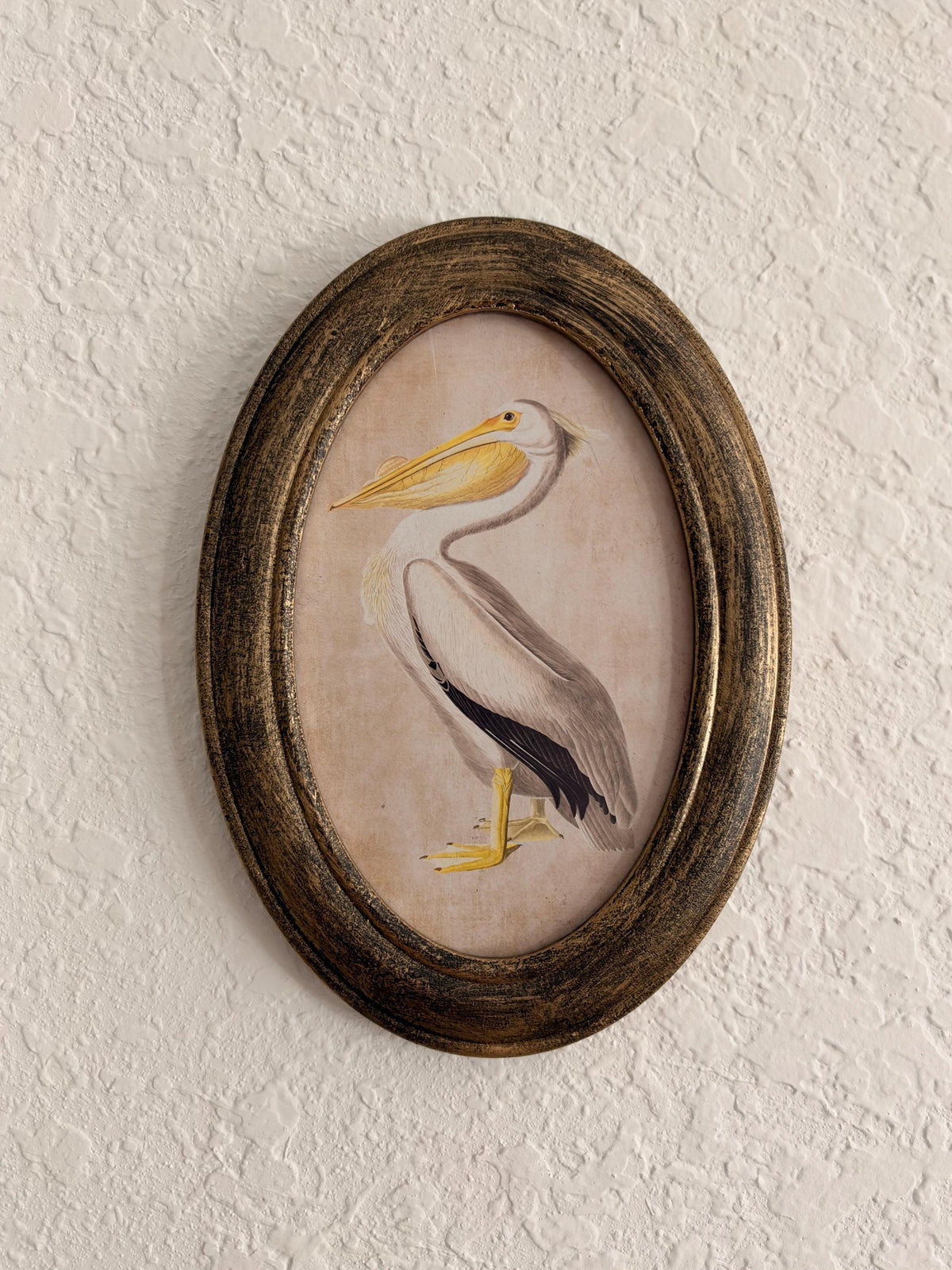 Coastal Primitive Pelican Portrait Hanging Wall Décor 7.5x5", Wood Frame