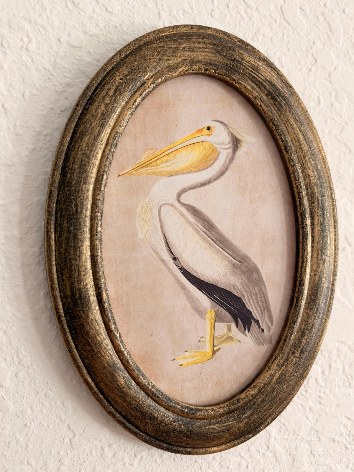 Coastal Primitive Pelican Portrait Hanging Wall Décor 7.5x5", Wood Frame