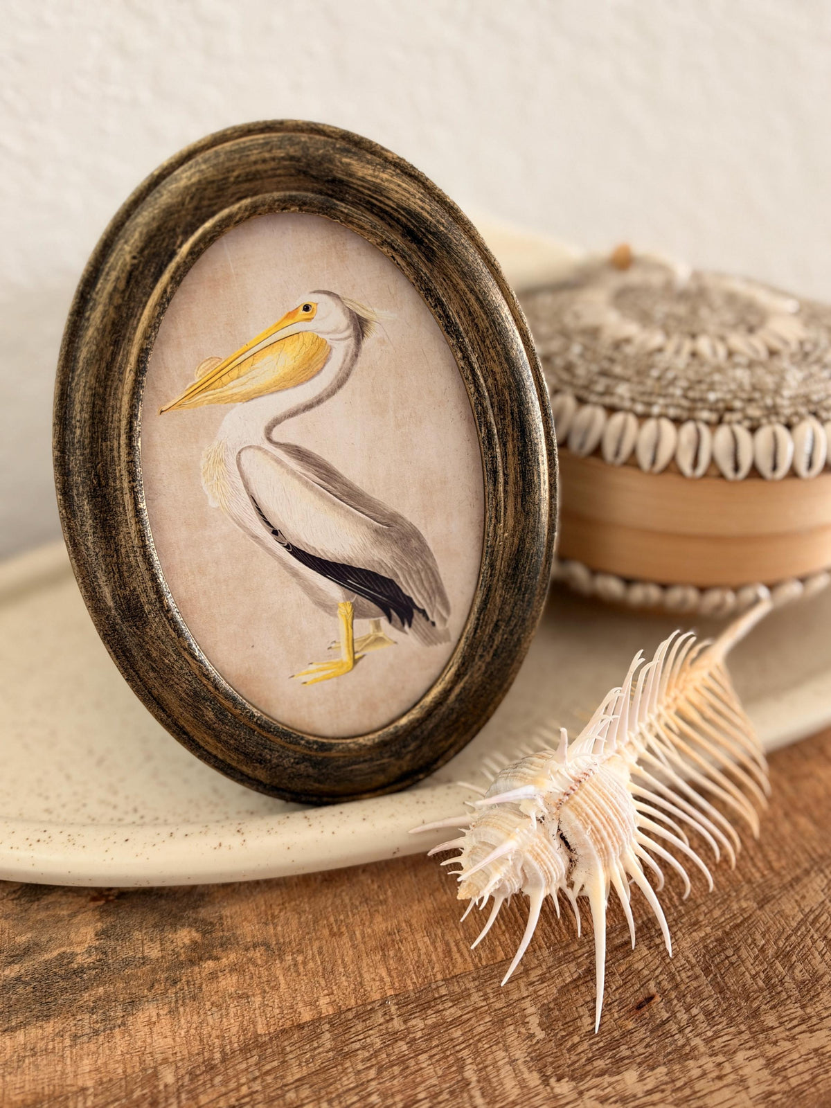 Coastal Primitive Pelican Portrait Hanging Wall Décor 7.5x5", Wood Frame