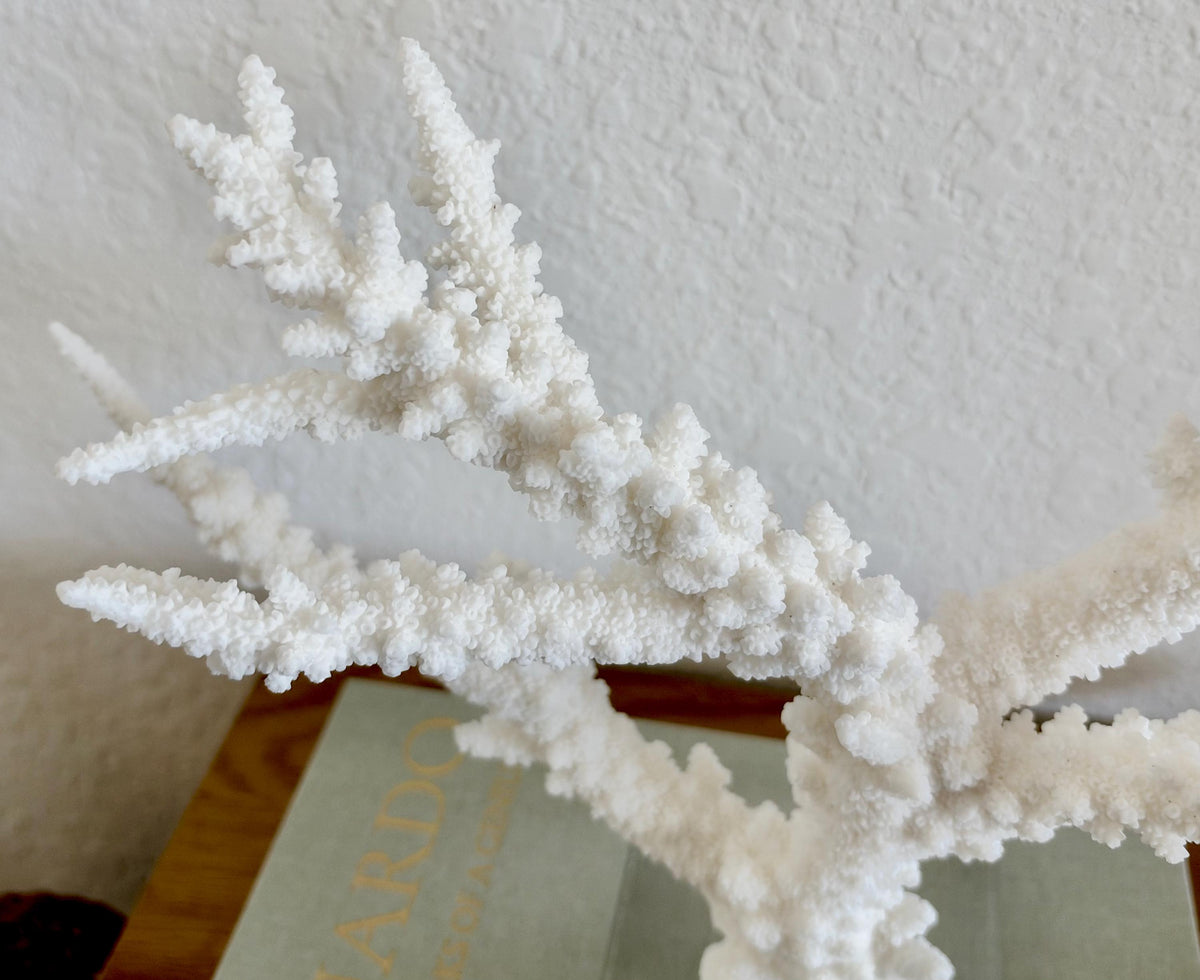 Real Branch Coral Fossil Specimen: 13.5" x 10.5" x 4" Coastal Décor (Lucite Mount)