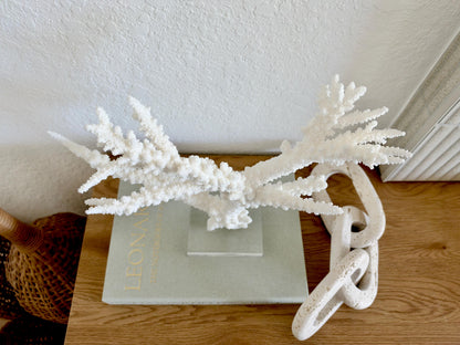 Real Branch Coral Fossil Specimen: 13.5" x 10.5" x 4" Coastal Décor (Lucite Mount)