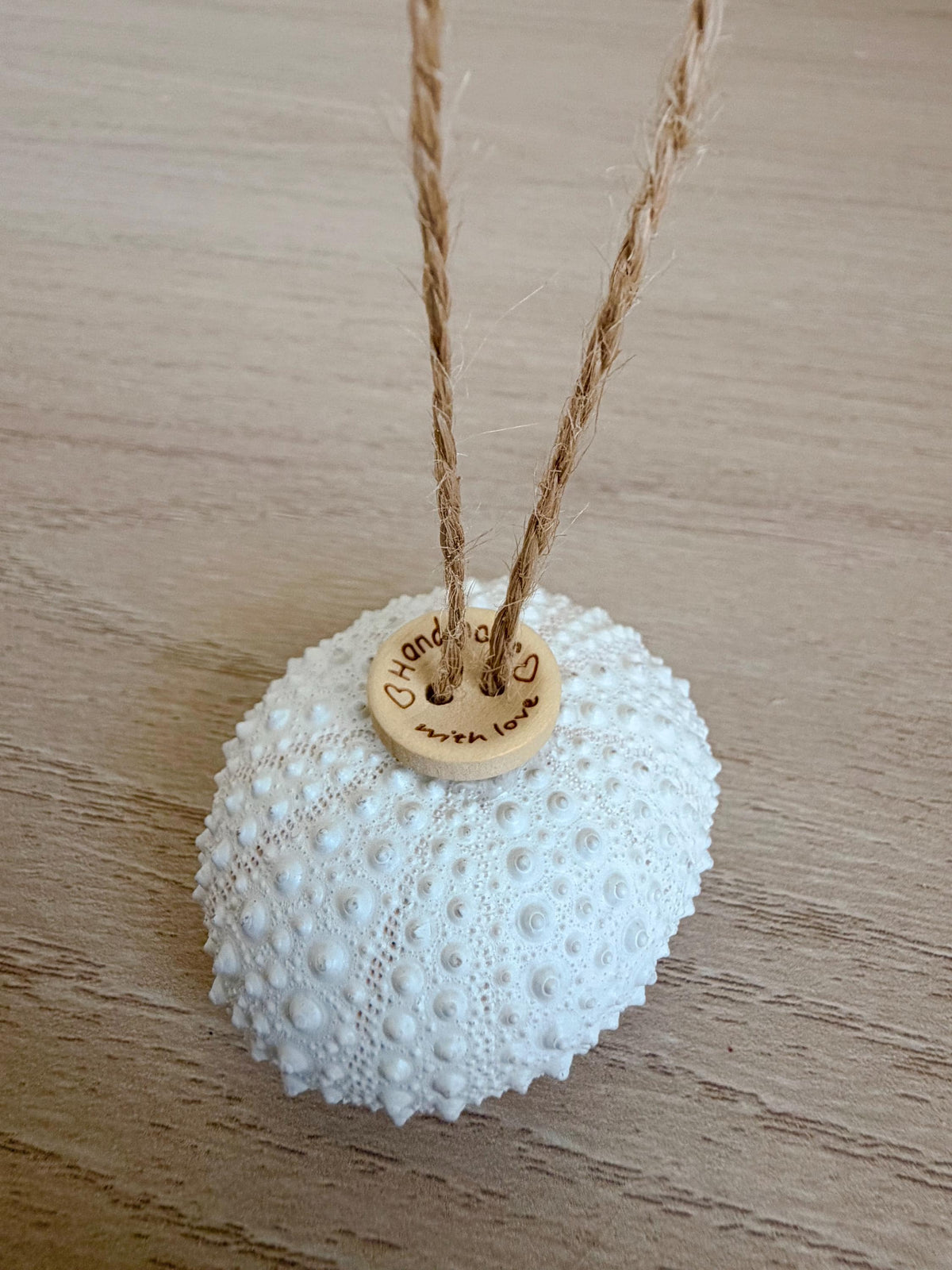 Handmade White Sea Urchin Ornaments: Set of 5, Natural Seashell Christmas Tree Decoration