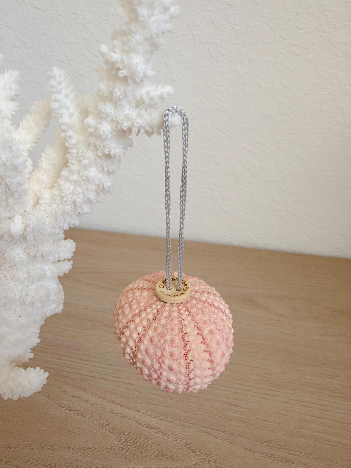 Handmade Pink Sea Urchin Ornaments: Set of 6, Natural Seashell Christmas Tree Decoration