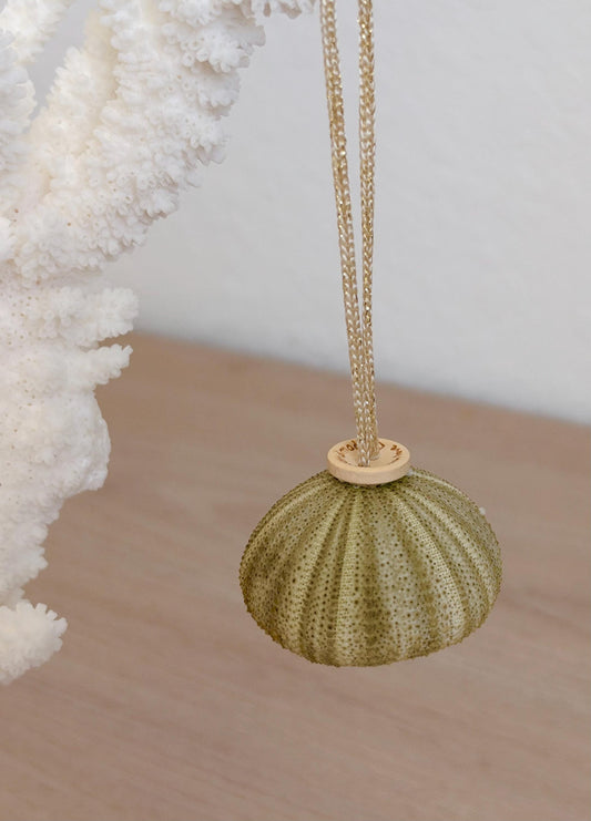 Handmade Green Sea Urchin Ornaments: Set of 6, Natural Seashell Christmas Tree Decoration