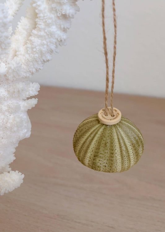 Handmade Green Sea Urchin Ornaments: Set of 6, Natural Seashell Christmas Tree Decoration