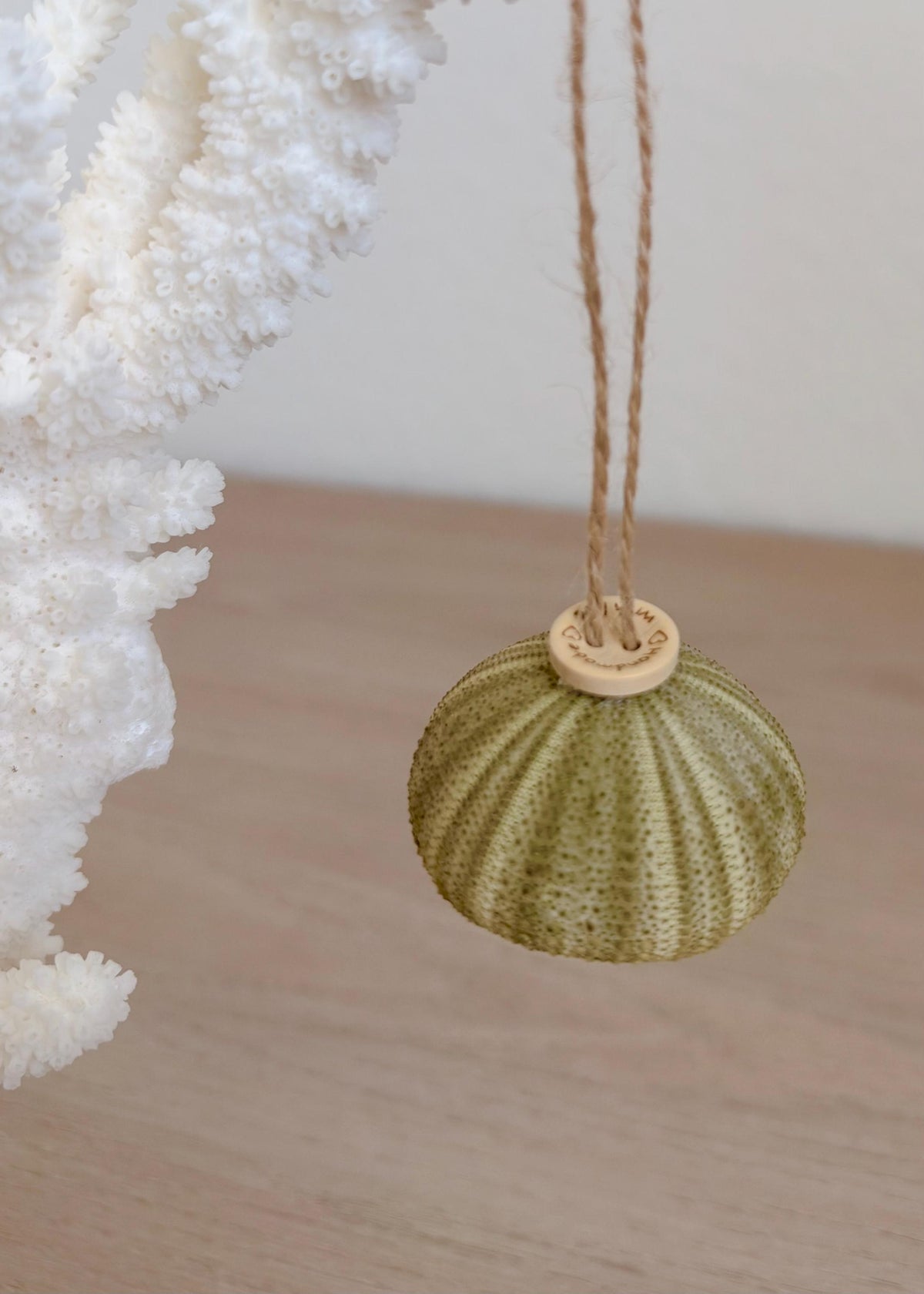 Handmade Mixed Color Sea Urchin Ornaments: Set of 5, Natural Seashell Christmas Tree Decoration